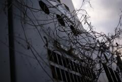 abstraction - 002 自責の念