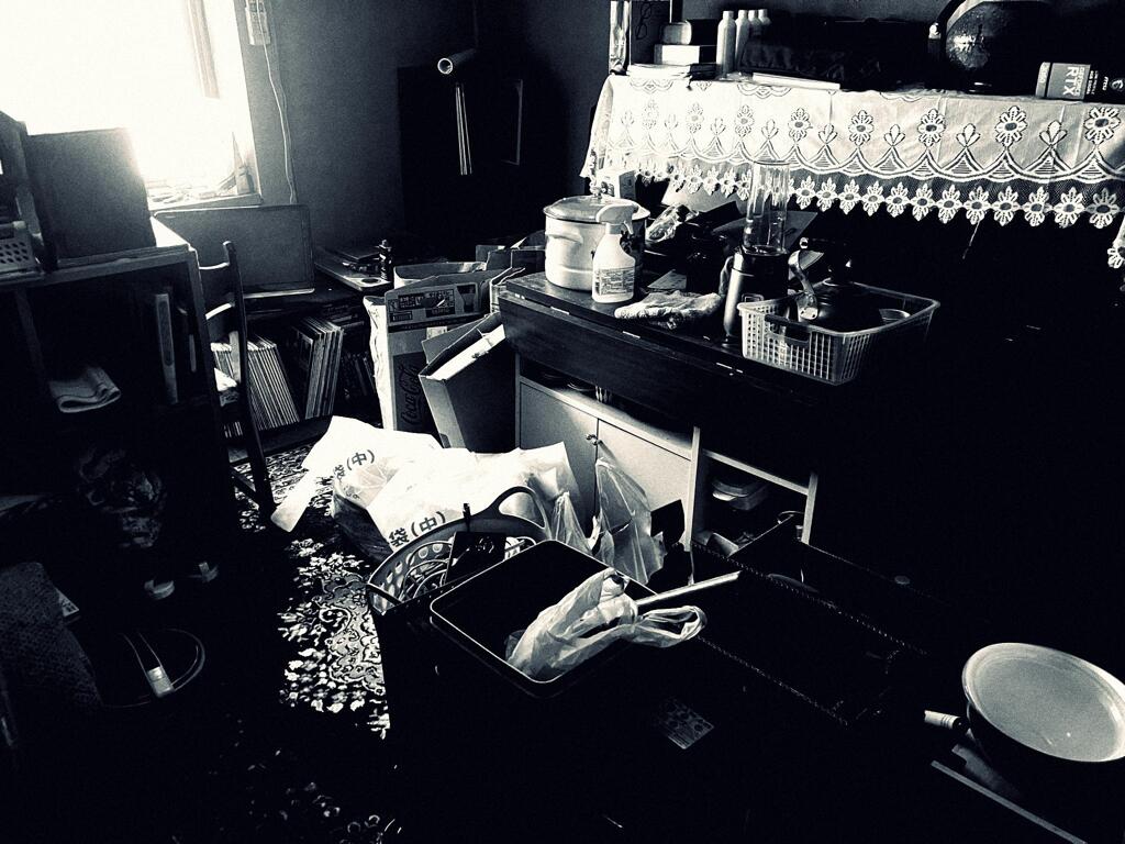 台所の工事が始まる故、ここに集結させる他無い訳だ。