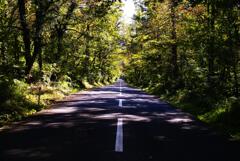 大山寺に至る旧道