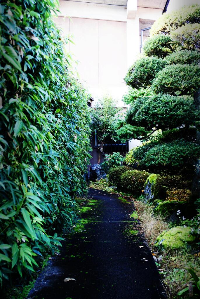 無人居では無いようだ