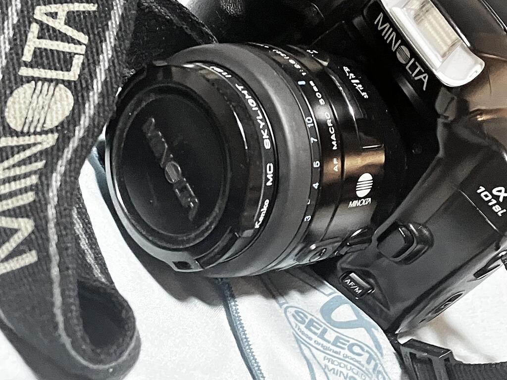 セクシーショット