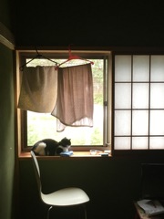 もう居なくなったけど