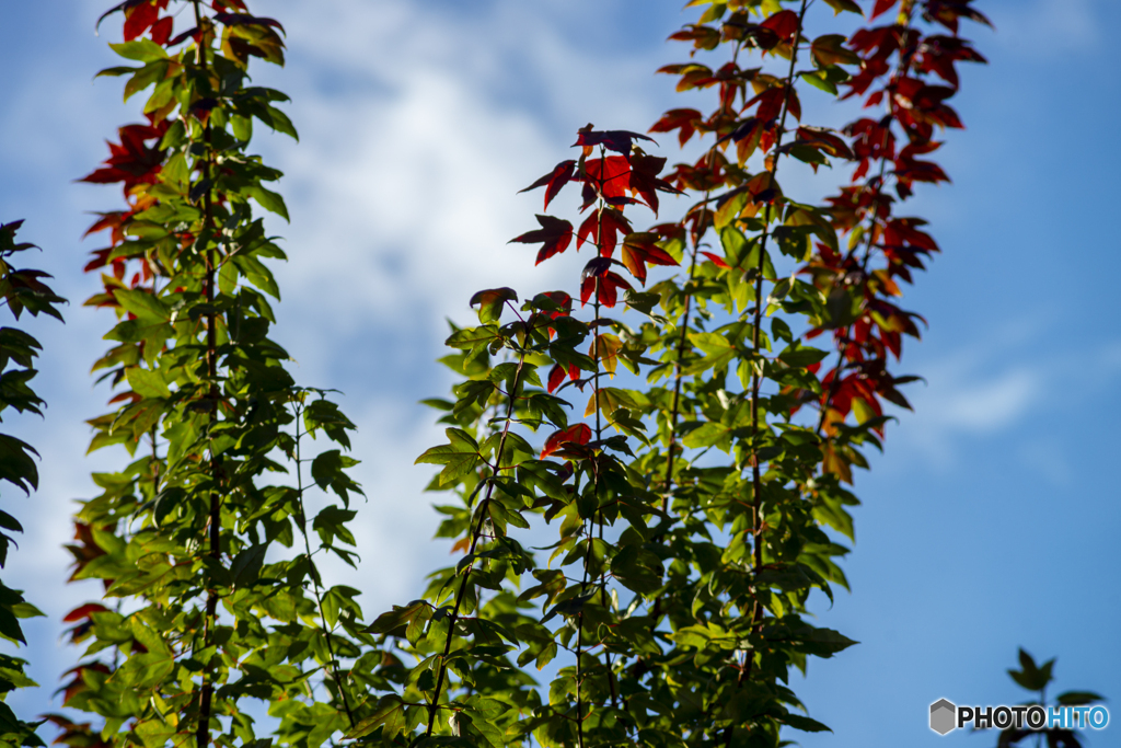 RGBな景色(違う)