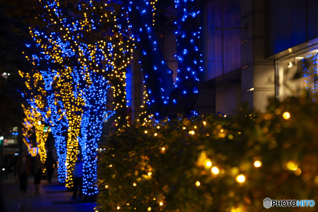 仕事帰りのイルミネーション