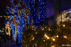 仕事帰りのイルミネーション