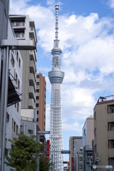 なんとなくスカイツリー