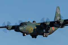 名古屋空港で撮ったC130