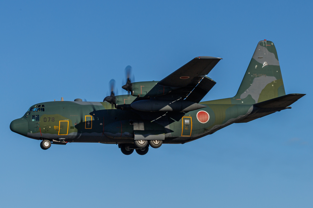 名古屋空港で撮ったC-130-2