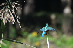 あっちが気になる