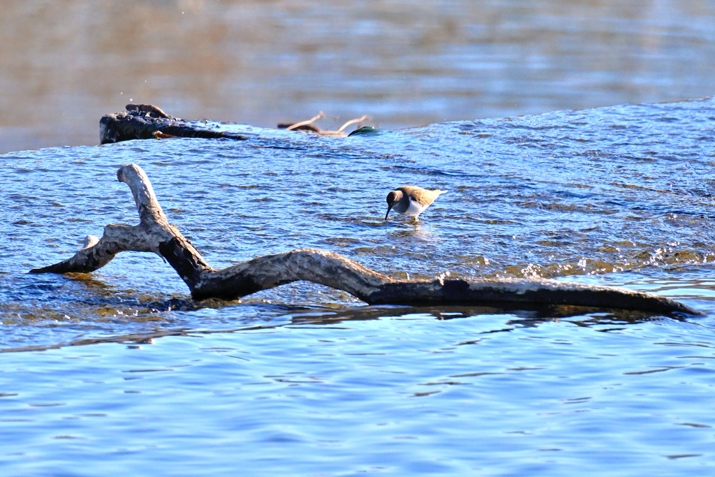 何かあるのかな？