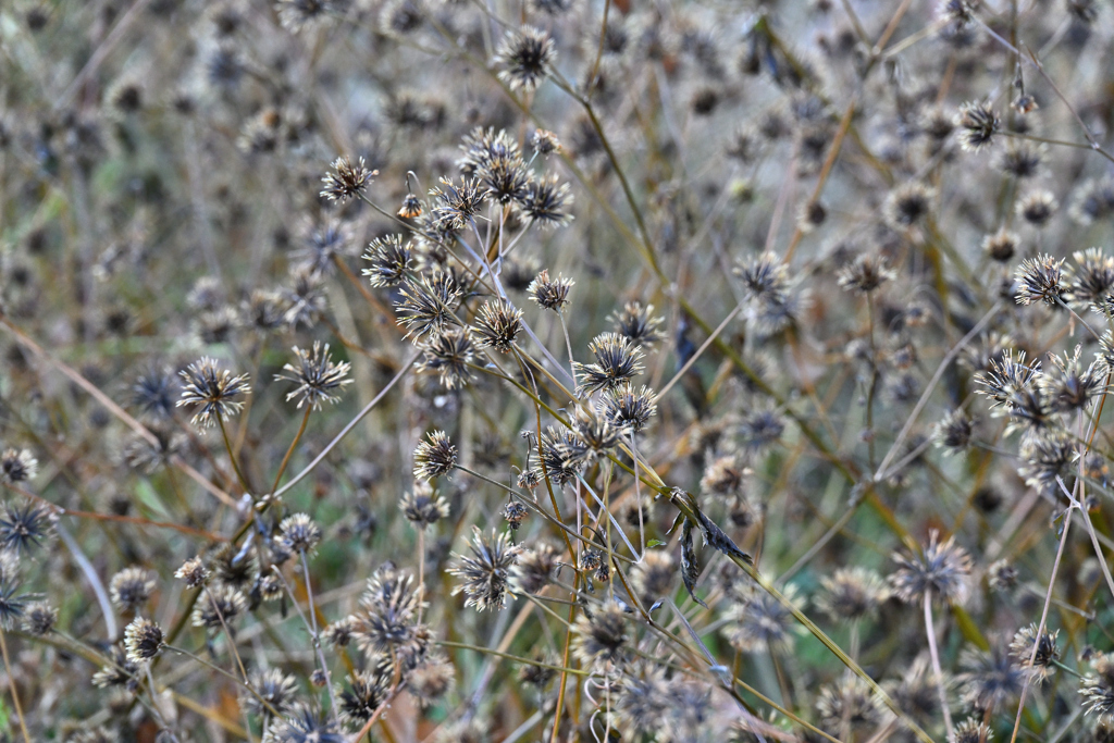 歩きたくない…