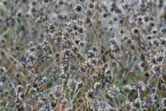 歩きたくない…