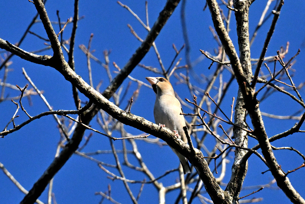 何が見えてるのかな