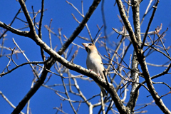 何が見えてるのかな