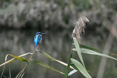 ゆっくり見廻す