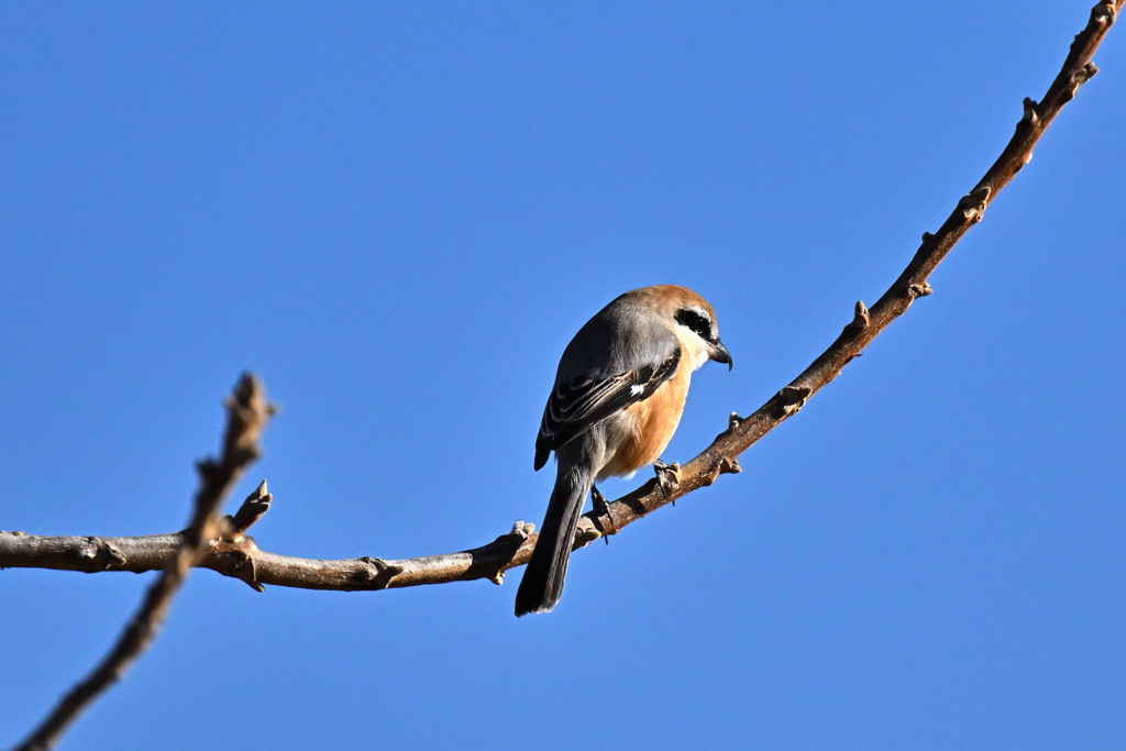 ちょっと高すぎたかな…