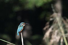 ちょっと一休み