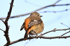 どっち行こうかな…