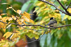 こっち見てよぉ～