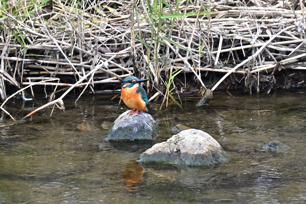 変なポーズしてるな～