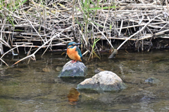 変なポーズしてるな～