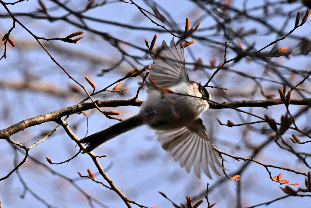 下を飛んでよ～