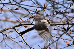 下を飛んでよ～