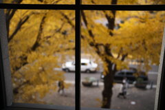 窓辺の紅葉