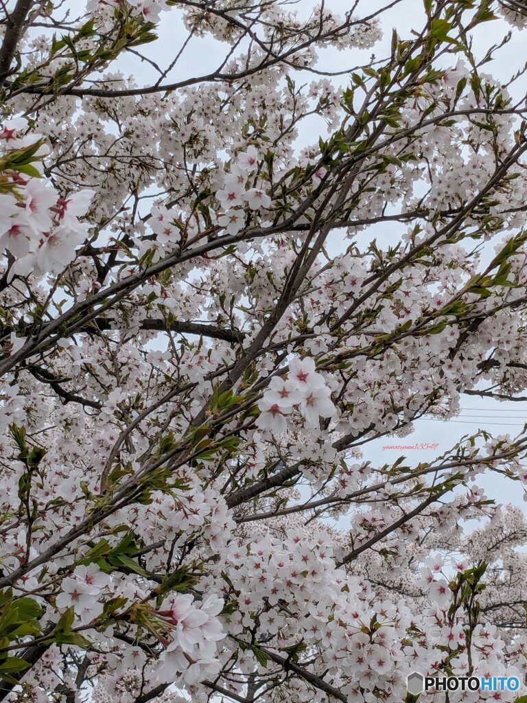 春が待ち遠しい