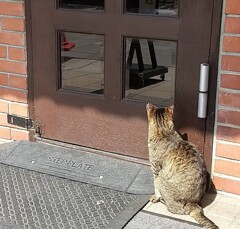 あけてほしいな