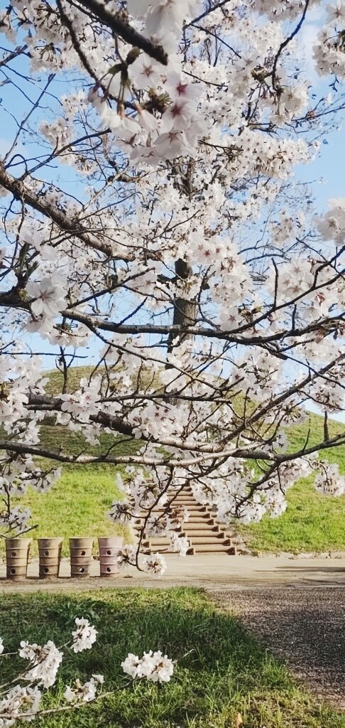 心合寺山古墳　八尾市
