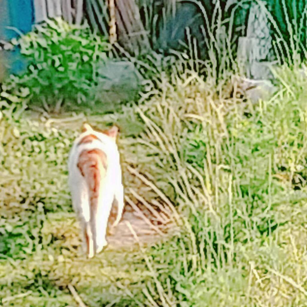 ちょっとそこまで