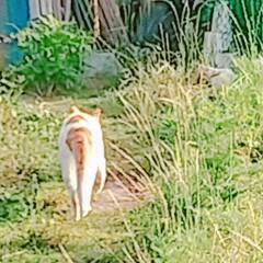 ちょっとそこまで