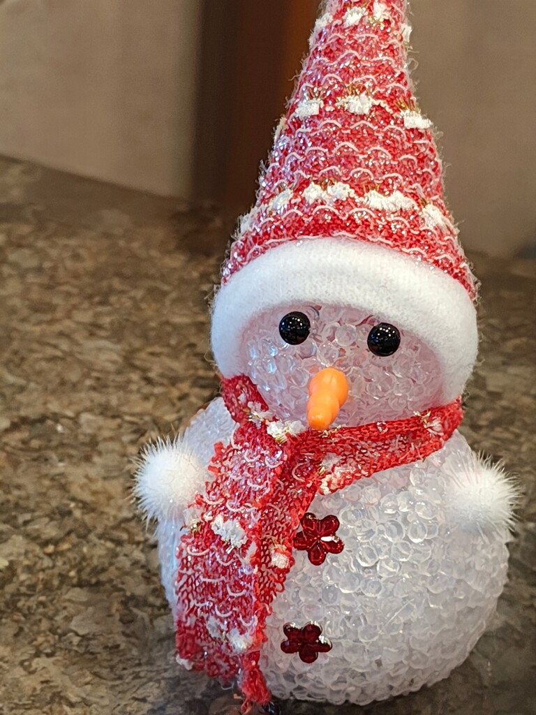 キラキラ雪だるま　温かい灯を待つ季節