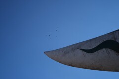 太陽の塔４（鳩たち）