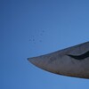 太陽の塔４（鳩たち）