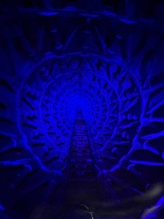 太陽の塔（左うで）