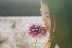 儚き晴れ間と12歳のLady