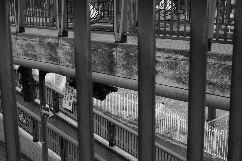 上の道 下の道 ここはどの道