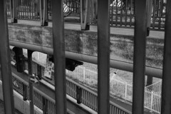 上の道 下の道 ここはどの道