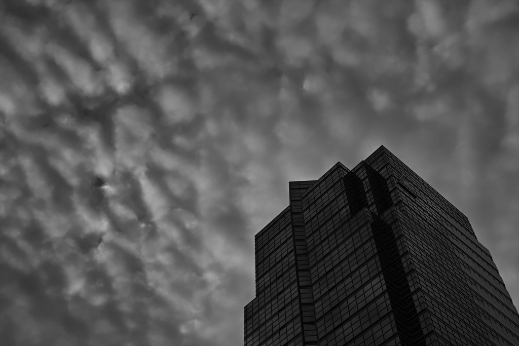 まだらの空を仰ぐ