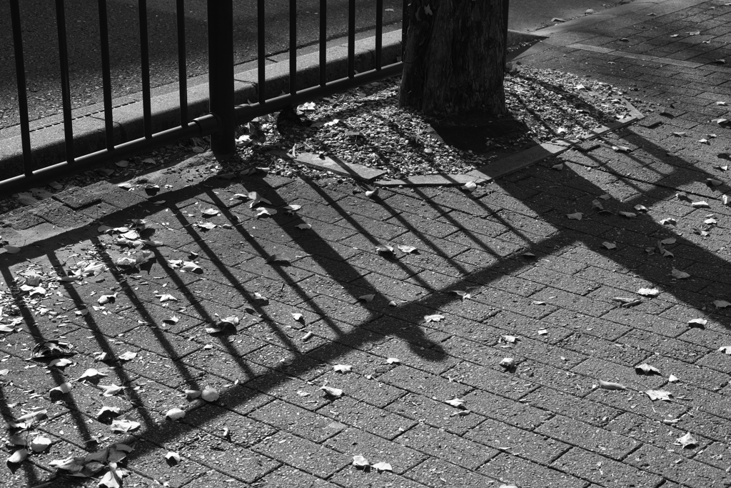 初めての道、覚えある風の匂い