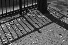 初めての道、覚えある風の匂い