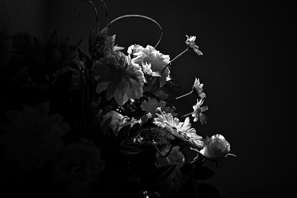 スポットライトを浴びるもの そうでないもの