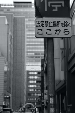 新しいを始めた日。そうだ、ここから。