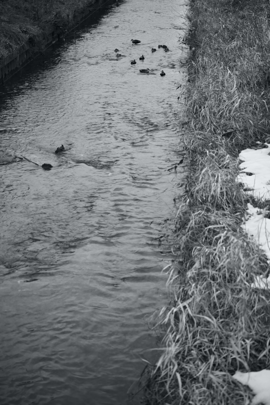 行雲流水の なんとも難しきことよ
