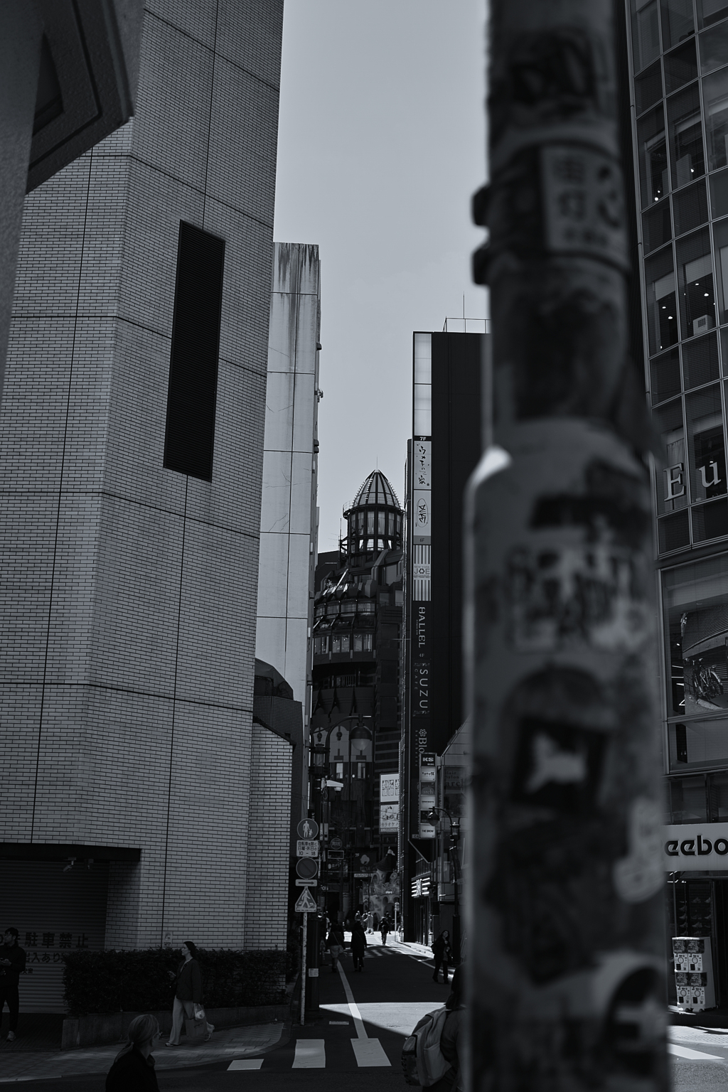 電話という名の地図を片手に彷徨う迷路