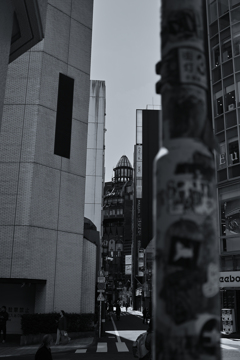 電話という名の地図を片手に彷徨う迷路