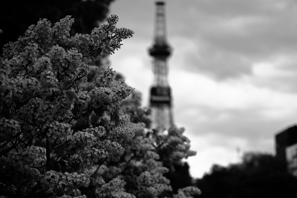 見知らぬ街で、見知らぬ風と