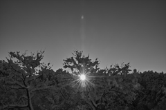 吹雪が去れば、雪化粧。